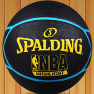 Dark Skin with Gold Details NBA Logo #5 Ball